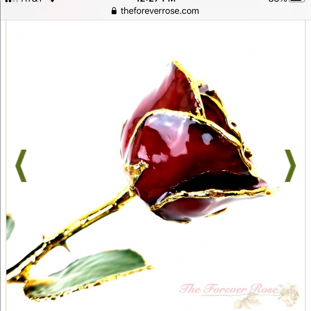 Forever rose